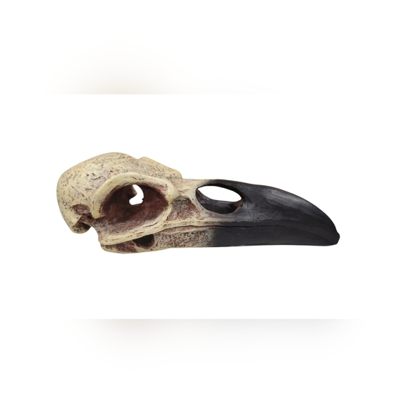 Raven Skull Hideout Bird Gothic Figurine 6 inch Sturdy Solid Decor Pet - Picture 5 of 7